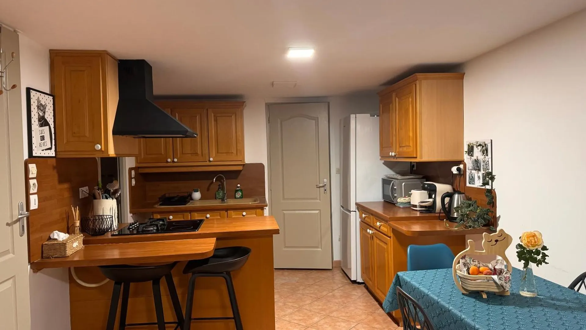 Appartement Au Calme Dans Maison En Rez De Jardin A 2,2 Kms Du Groupama Stadium Et Salle Ldlc Arena Meyzieu